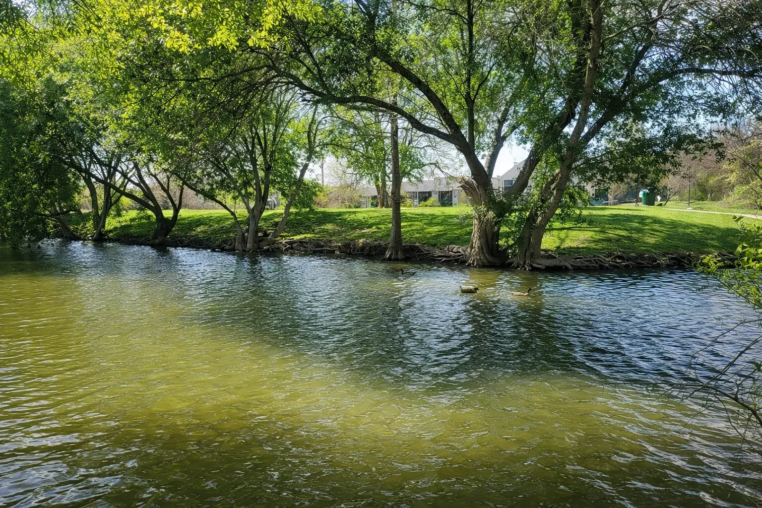 The lake at Vista Lago